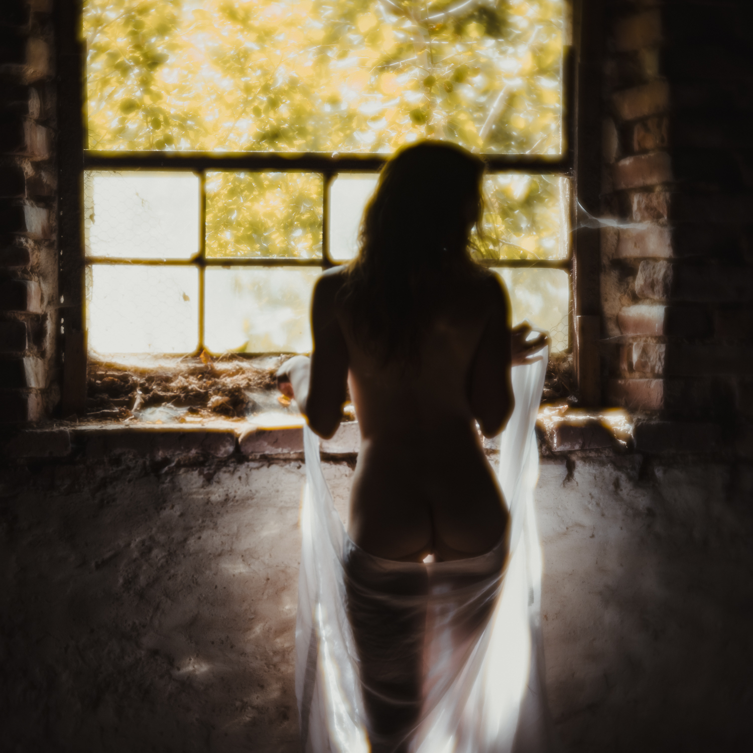 Akt im Schloss Blumenthal    2000